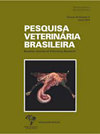 PESQUISA VETERINARIA BRASILEIRA雜志封面